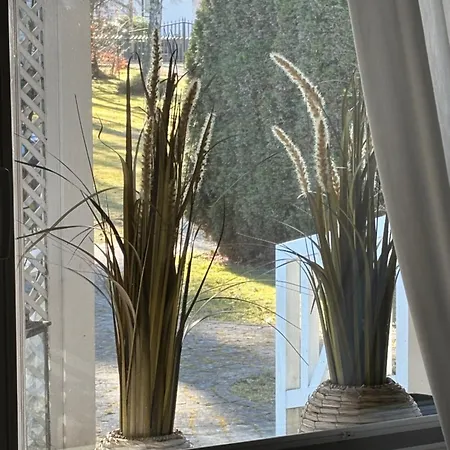 Schoenes Unterhalb Der Wasserkuppe