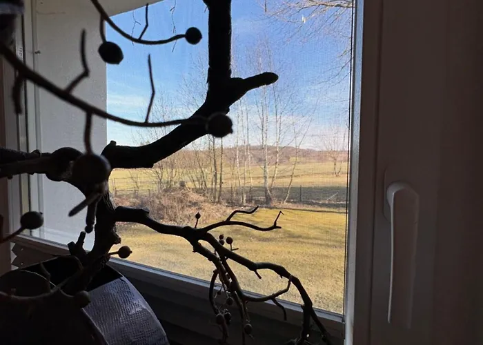 Schoenes Unterhalb Der Wasserkuppe Hilders