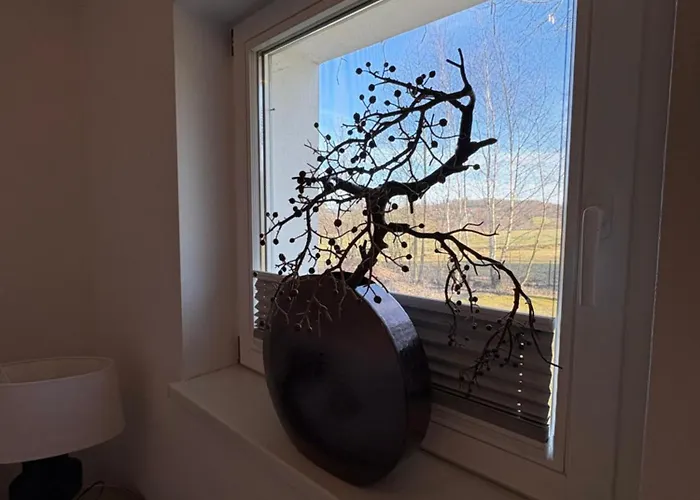 Schoenes Unterhalb Der Wasserkuppe Apartmán Hilders