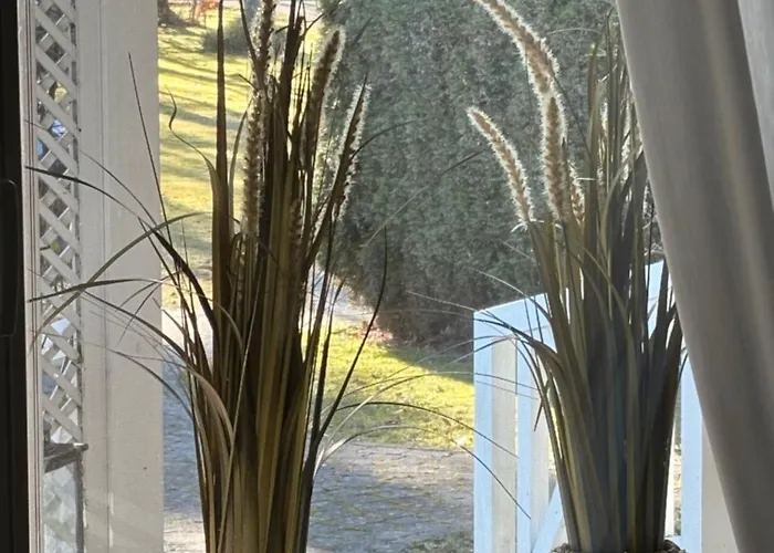 Schoenes Unterhalb Der Wasserkuppe